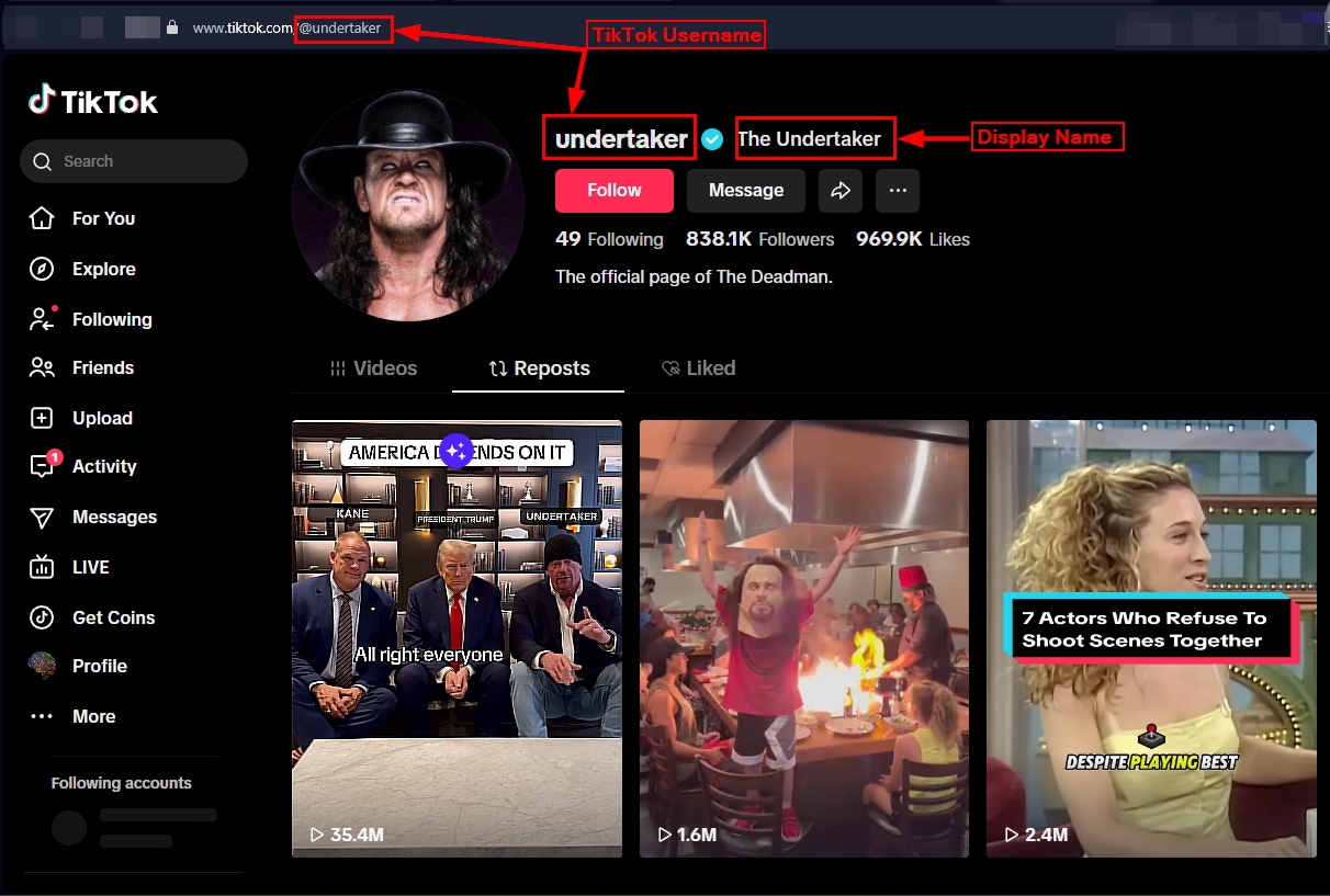 TikTok @undertaker profile