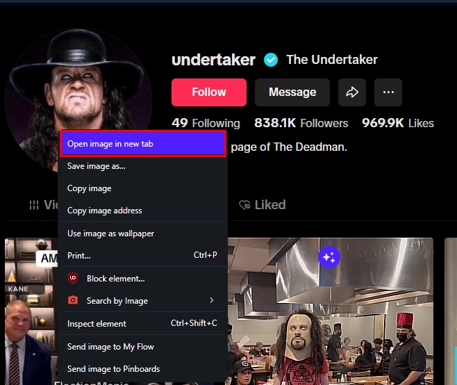 Opening TikTok profile picture in a new browser window