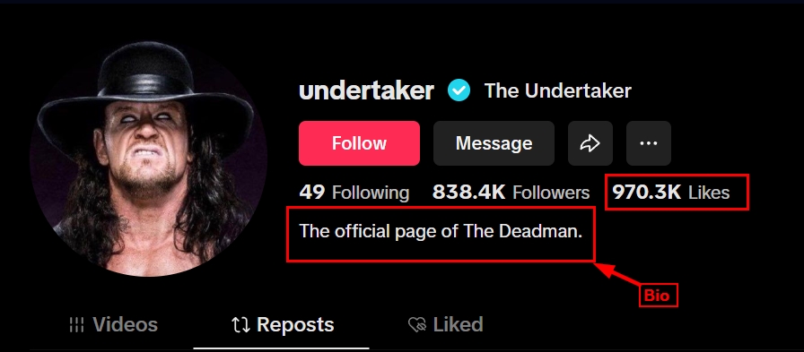 number of likes indicates the popularity of the TikTok account