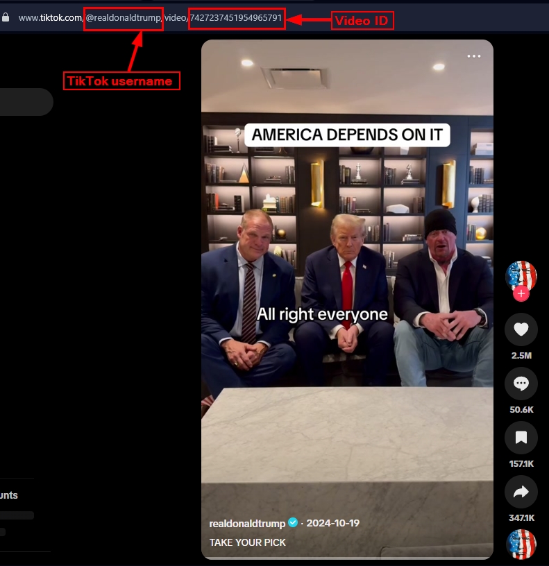 Video ID in URL when viewing a video on TikTok web version