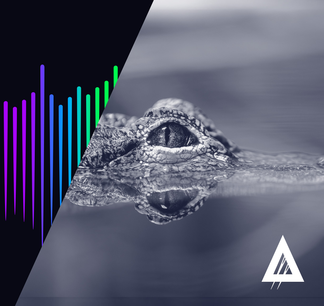 Alligator in the Boat 